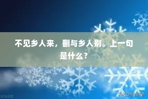 不见乡人来，翻与乡人别。上一句是什么？