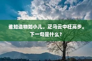 谁知造物如小儿，疋马云中枉高步。下一句是什么？