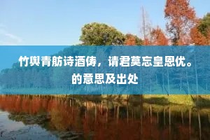 竹舆青舫诗酒俦，请君莫忘皇恩优。的意思及出处