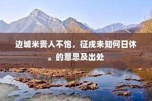 边城米贵人不饱，征戍未知何日休。的意思及出处