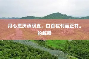 丹心忽厌承明直，白首犹刊丽正书。的解释