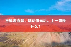 玉樽湛而献，聪明作元后。上一句是什么？