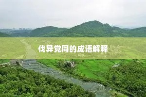 伐异党同的成语解释