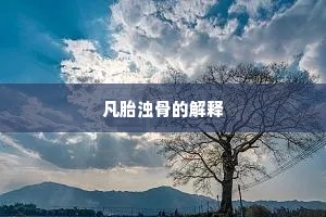凡胎浊骨的解释
