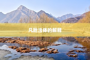 凡胎浊体的解释