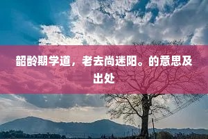 韶龄期学道，老去尚迷阳。的意思及出处