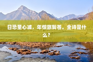 日恐童心减，年惊旅鬓苍。全诗是什么？