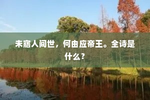 未寤人间世，何由应帝王。全诗是什么？