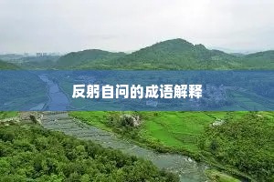 反躬自问的成语解释