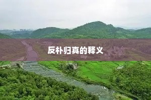 反朴归真的释义