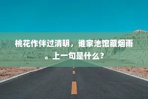 桃花作伴过清明，谁家池馆藏烟雨。上一句是什么？
