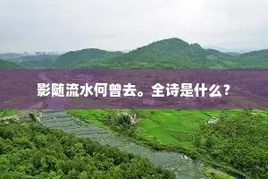 影随流水何曾去。全诗是什么？