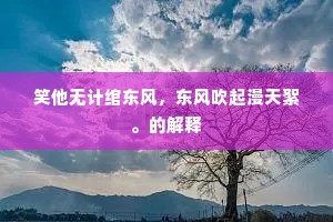 笑他无计绾东风，东风吹起漫天絮。的解释