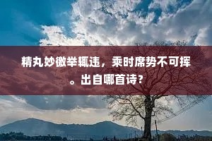 精丸妙徼举辄违，乘时席势不可挥。出自哪首诗？