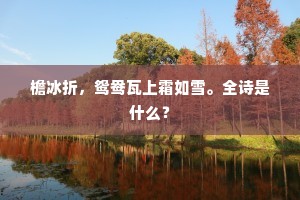 檐冰折，鸳鸯瓦上霜如雪。全诗是什么？