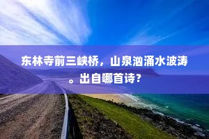 东林寺前三峡桥，山泉汹涌水波涛。出自哪首诗？