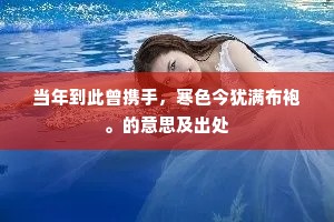 当年到此曾携手，寒色今犹满布袍。的意思及出处