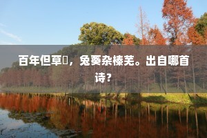 百年但草茀，兔葵杂榛芜。出自哪首诗？