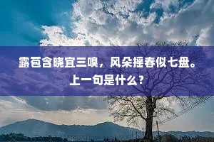 露苞含晓宜三嗅，风朵摇春似七盘。上一句是什么？