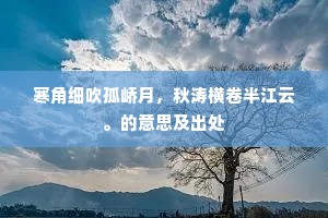 寒角细吹孤峤月，秋涛横卷半江云。的意思及出处