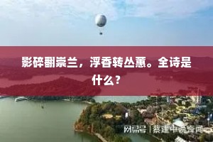 影碎翻崇兰，浮香转丛蕙。全诗是什么？
