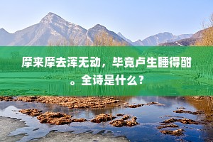 摩来摩去浑无动，毕竟卢生睡得酣。全诗是什么？