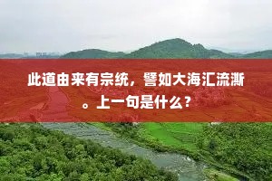 此道由来有宗统，譬如大海汇流澌。上一句是什么？