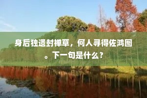 身后独遗封禅草,何人寻得佐鸿图。下一句是什么? 身后独遗封禅草,何人寻得佐鸿图。下一句是什么?