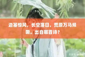 边塞惊风，长空落日，荒原万马频嘶。出自哪首诗？