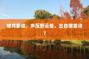啼鸿断续，声压野云低。出自哪首诗？