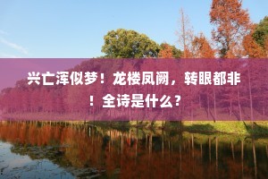 兴亡浑似梦!龙楼凤阙,转眼都非!全诗是什么? 兴亡浑似梦!龙楼凤阙,转眼都非!全诗是什么?
