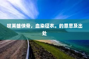 叹英雄侠骨，血染征衣。的意思及出处