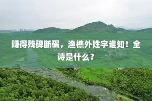赚得残碑断碣，渔樵外姓字谁知！全诗是什么？