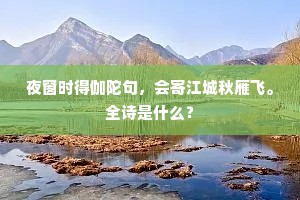 夜窗时得伽陀句，会寄江城秋雁飞。全诗是什么？