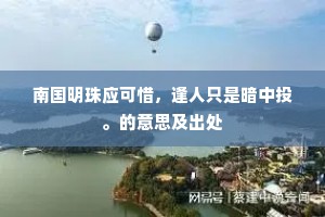 南国明珠应可惜，逢人只是暗中投。的意思及出处