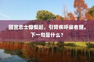 固宜志士慷慨起，引臂疾呼寐者醒。下一句是什么？