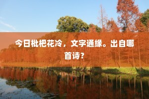 今日枇杷花冷，文字通缘。出自哪首诗？