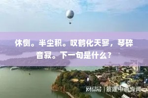 休恻。半尘积。叹鹤化天寥，琴碎音寂。下一句是什么？