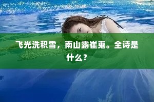 飞光洗积雪，南山露崔嵬。全诗是什么？