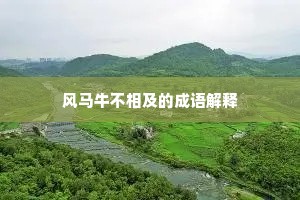 风马牛不相及的成语解释