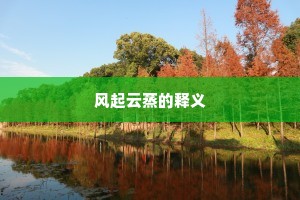 风起云蒸的释义