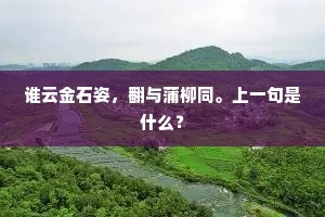 谁云金石姿，翻与蒲柳同。上一句是什么？
