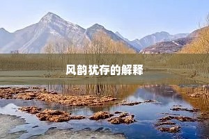 风韵犹存的解释