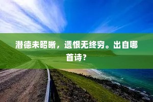 潜德未昭晰，遗恨无终穷。出自哪首诗？