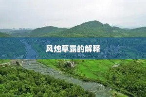 风烛草露的解释