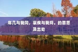 年几与我同，哀疾与我埒。的意思及出处