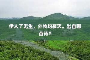 伊人了无生，外物均寂灭。出自哪首诗？