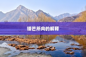 锋芒所向的解释