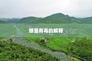 蜂虿有毒的解释