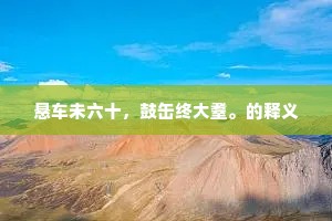 悬车未六十，鼓缶终大耋。的释义